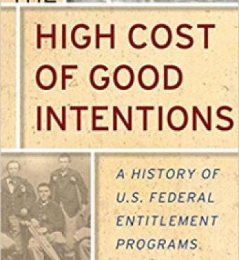 Image for The High Cost of Good Intentions