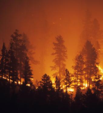 Image for California Wildfires - Crisis to Opportunity  Exploring the intersection of risks, incentives, and consequences 