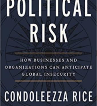Image for Political Risk: How Businesses And Organizations Can Anticipate Global Insecurity