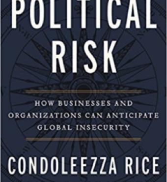 Image for Political Risk: How Businesses And Organizations Can Anticipate Global Insecurity