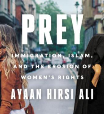 Image for Prey: Immigration, Islam, And The Erosion Of Women's Rights