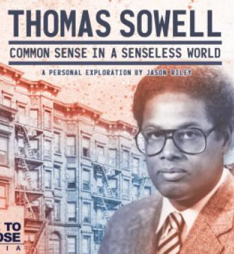 Image for Thomas Sowell: Common Sense in a Senseless World