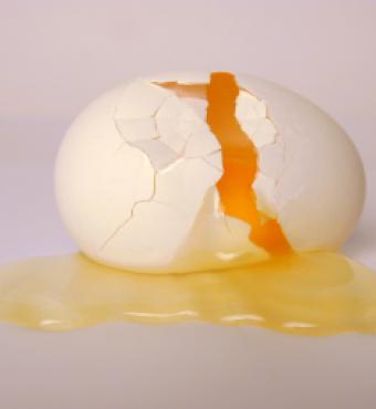 broken egg image