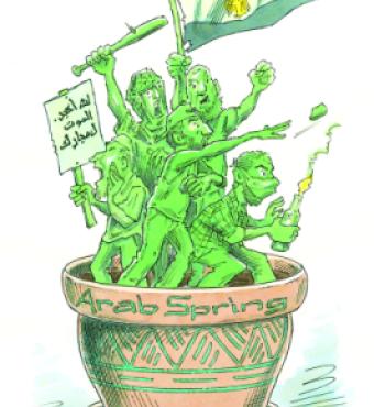 The Arab Spring Implodes