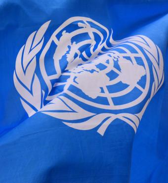 unitednations   image