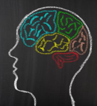 brain   image