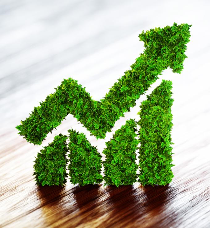 Environmental   image