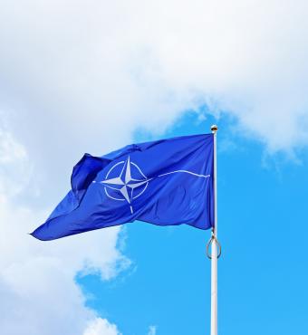 nato   image