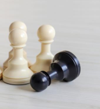 chessdiversityblack   image