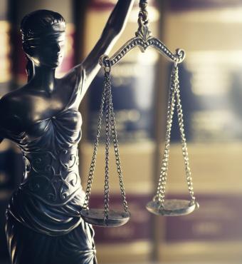law   image