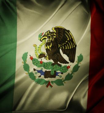 Mexican Flag