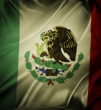 Mexican Flag