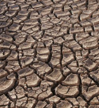 Dry ground in the Sonoran Desert, Sonora,Mexico