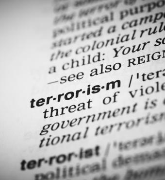 terror   large image