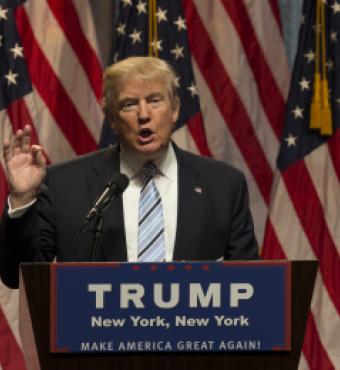 trump   large image