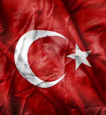 turkey   large image