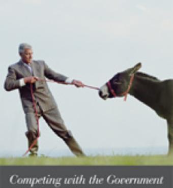 Competing with the Government: Anticompetitive Behavior and Public Enterprises