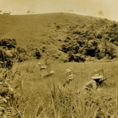 East River Column guerrilla warfare in Guangdong. Guerrillas crouching in a grassy field.