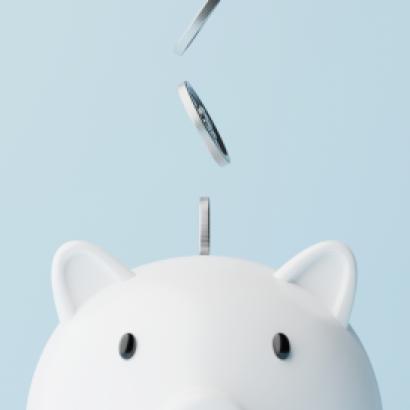 Piggy Bank Saving