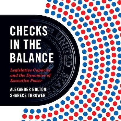 Checks in the Balance: Legislative Capacity and the Dynamics of Executive Power