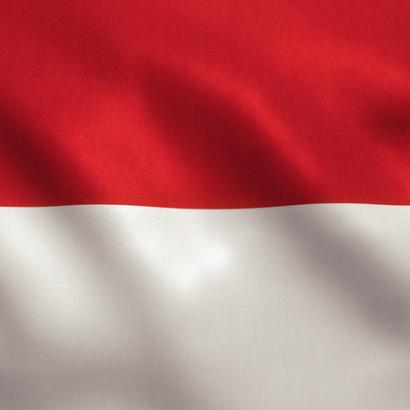 Indonesian Flag