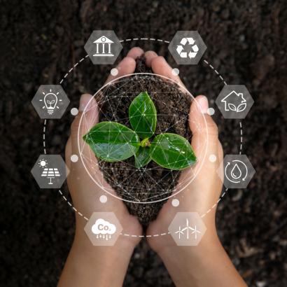environmentiStock-1413842071.jpg 
