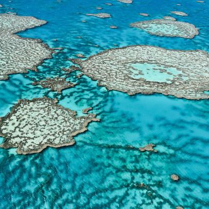 Great barrier reef australia