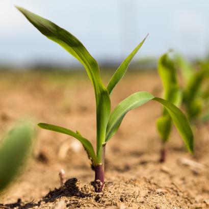 farming shutterstock  image