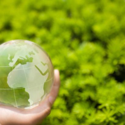 greenworld  image