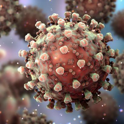Coronavirus   image