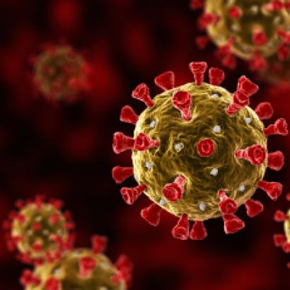 coronavirus   image