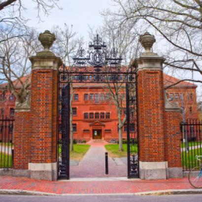 Image for Innovation and the Patent System