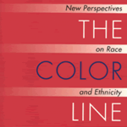 Image for Beyond the Color Line: New Perspectives on Race and Ethnicity in America