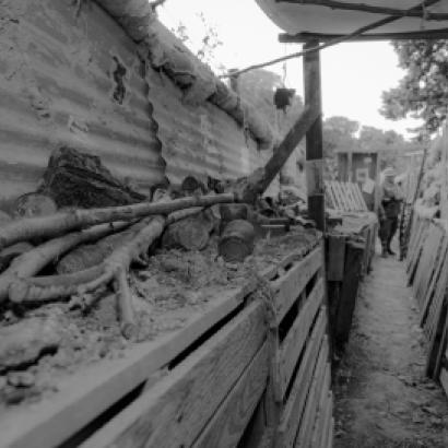 Image for Explaining The Turning Point Of The First World War: The Road Less Traveled