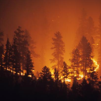 Image for California Wildfires - Crisis to Opportunity  Exploring the intersection of risks, incentives, and consequences 