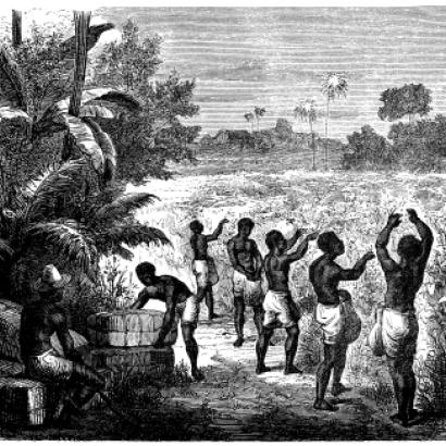 Image for Slave Prices in New York and New Jersey