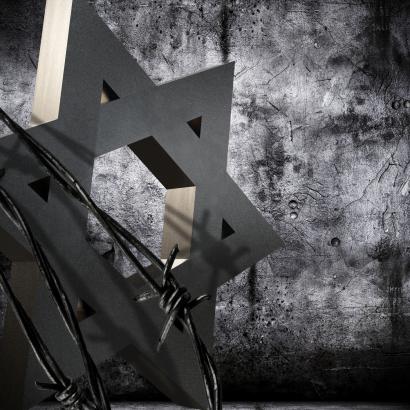 holocaust   image