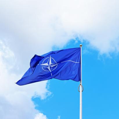 nato   image