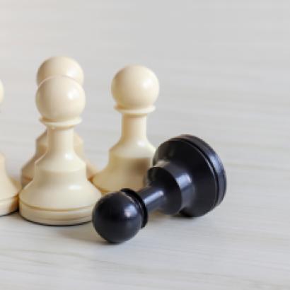 chessdiversityblack   image