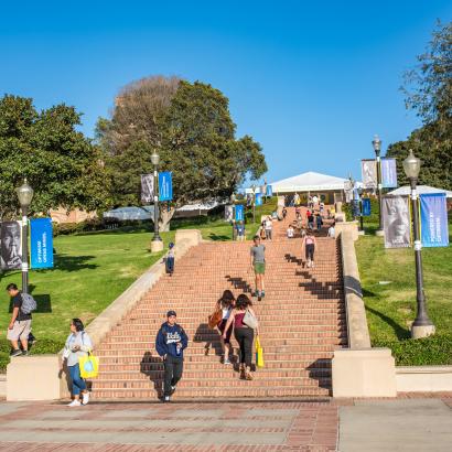 collegeucla   image