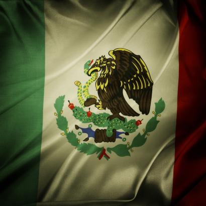 Mexican Flag