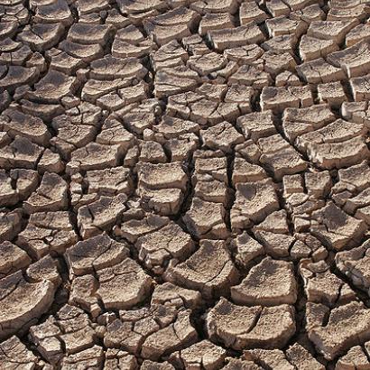 Dry ground in the Sonoran Desert, Sonora,Mexico