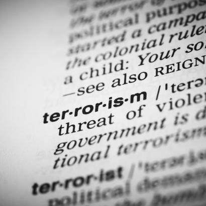 terror   large image