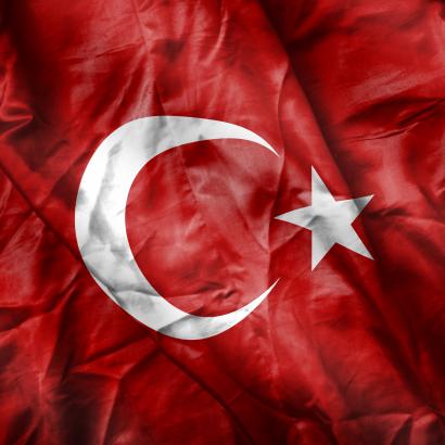 turkey   large image