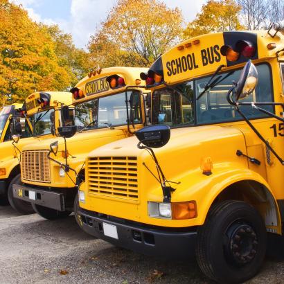 School Buses