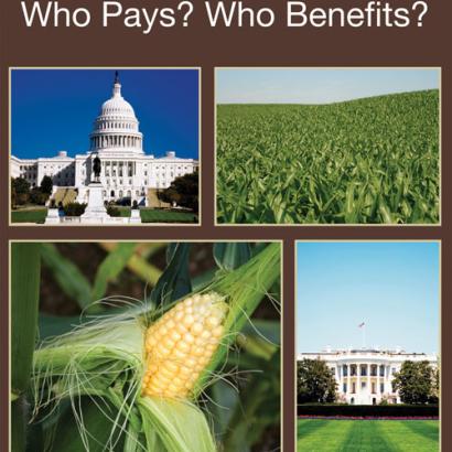 book cover image for Corn Ethanol: Who Pays? Who Benefits? by Ken Glozer