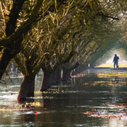 flood near Modesto in January 2012