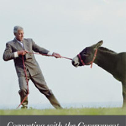 Competing with the Government: Anticompetitive Behavior and Public Enterprises