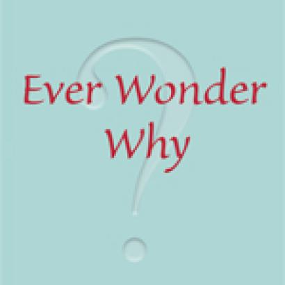 Ever Wonder Why? And Other Controversial Essays