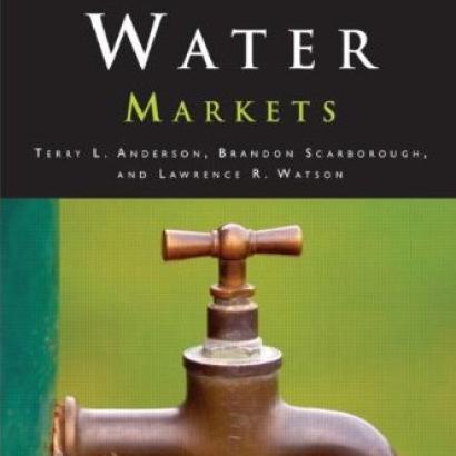 Tapping Water Markets